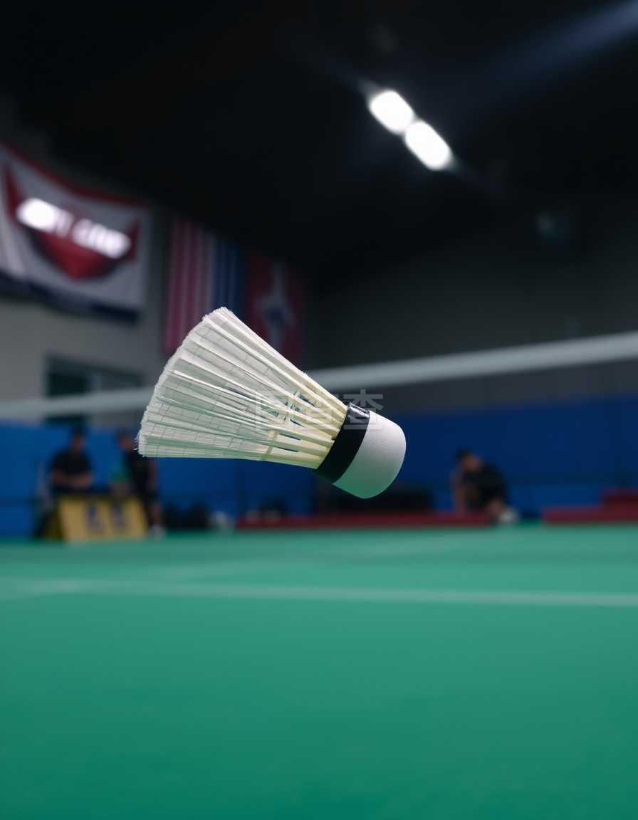 不应仅仅是 不应仅仅是