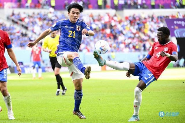 解中国女排 解中国女排