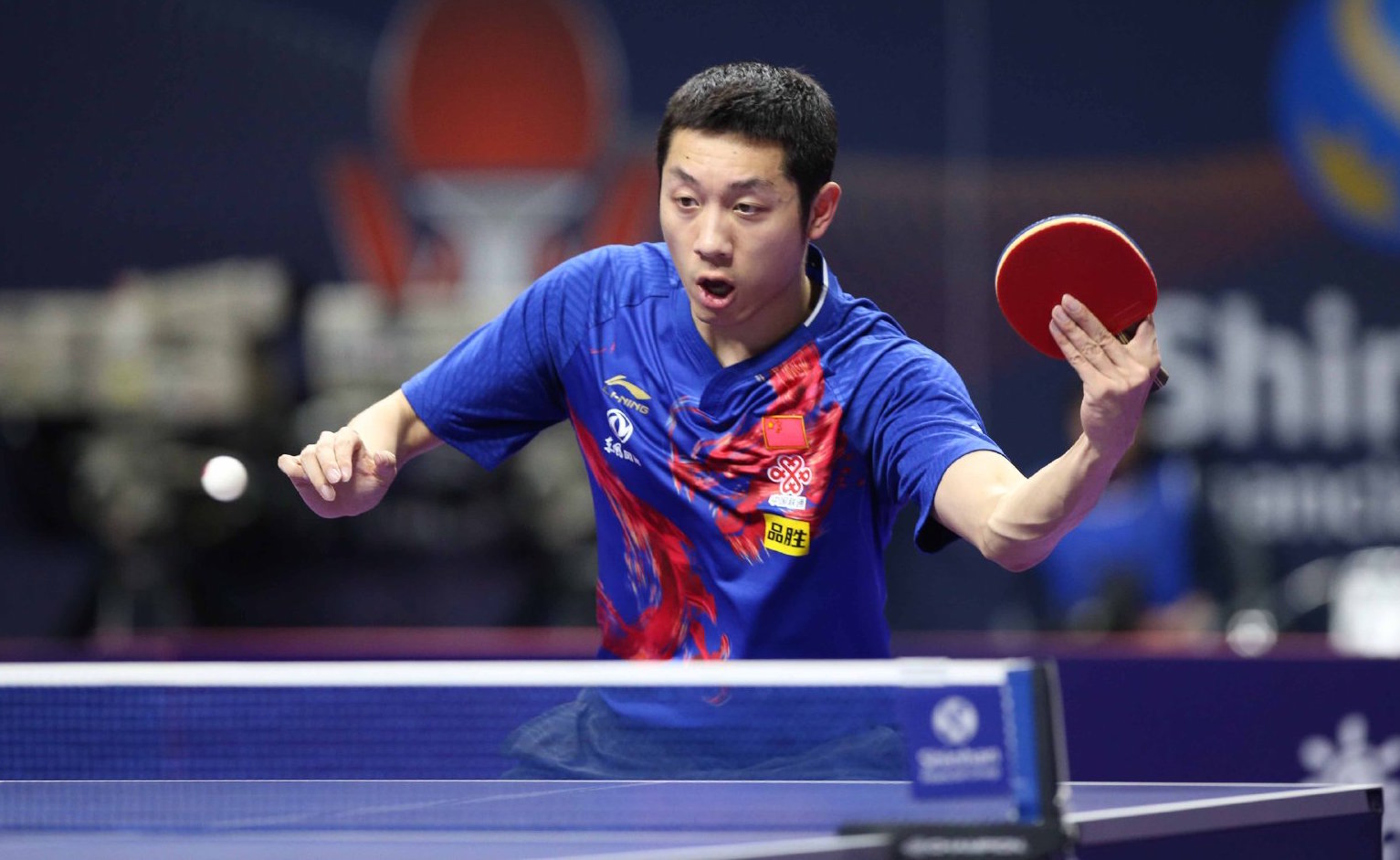 他在德甲长 他在德甲长