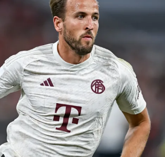 可以看到青 可以看到青