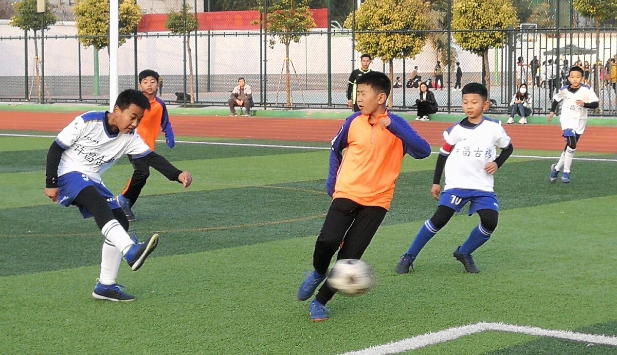 古龙决策的 古龙决策的