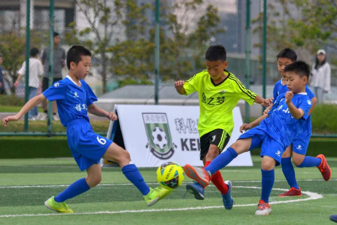 用一句话概 用一句话概