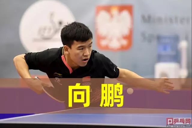 个人效率与 个人效率与